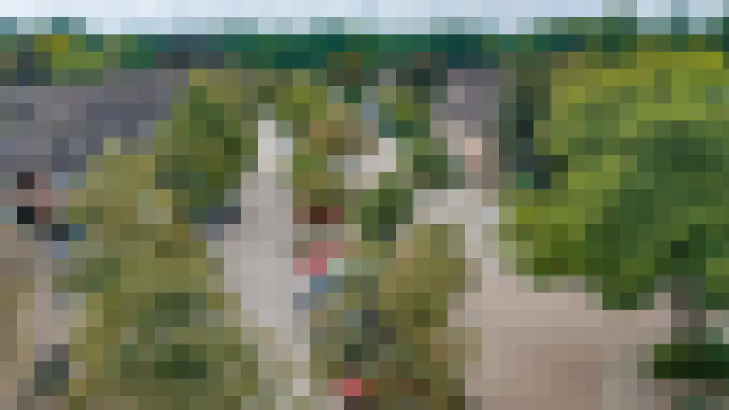 Canadastraat 93 Holten thumbnail 43