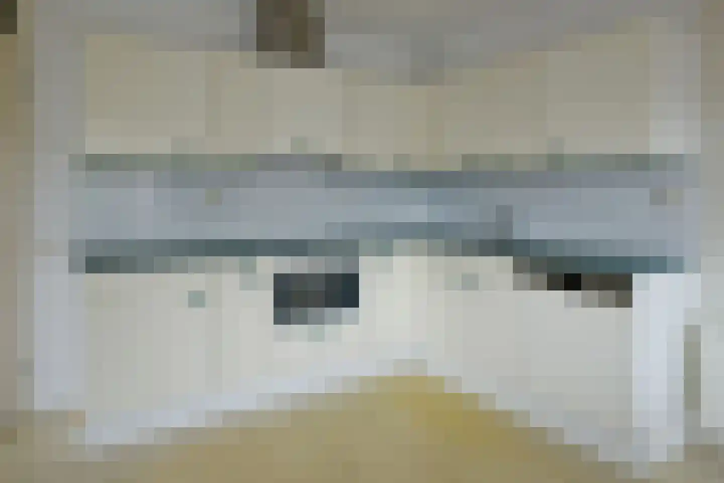 Canadese Gans 43 Uithoorn thumbnail 10
