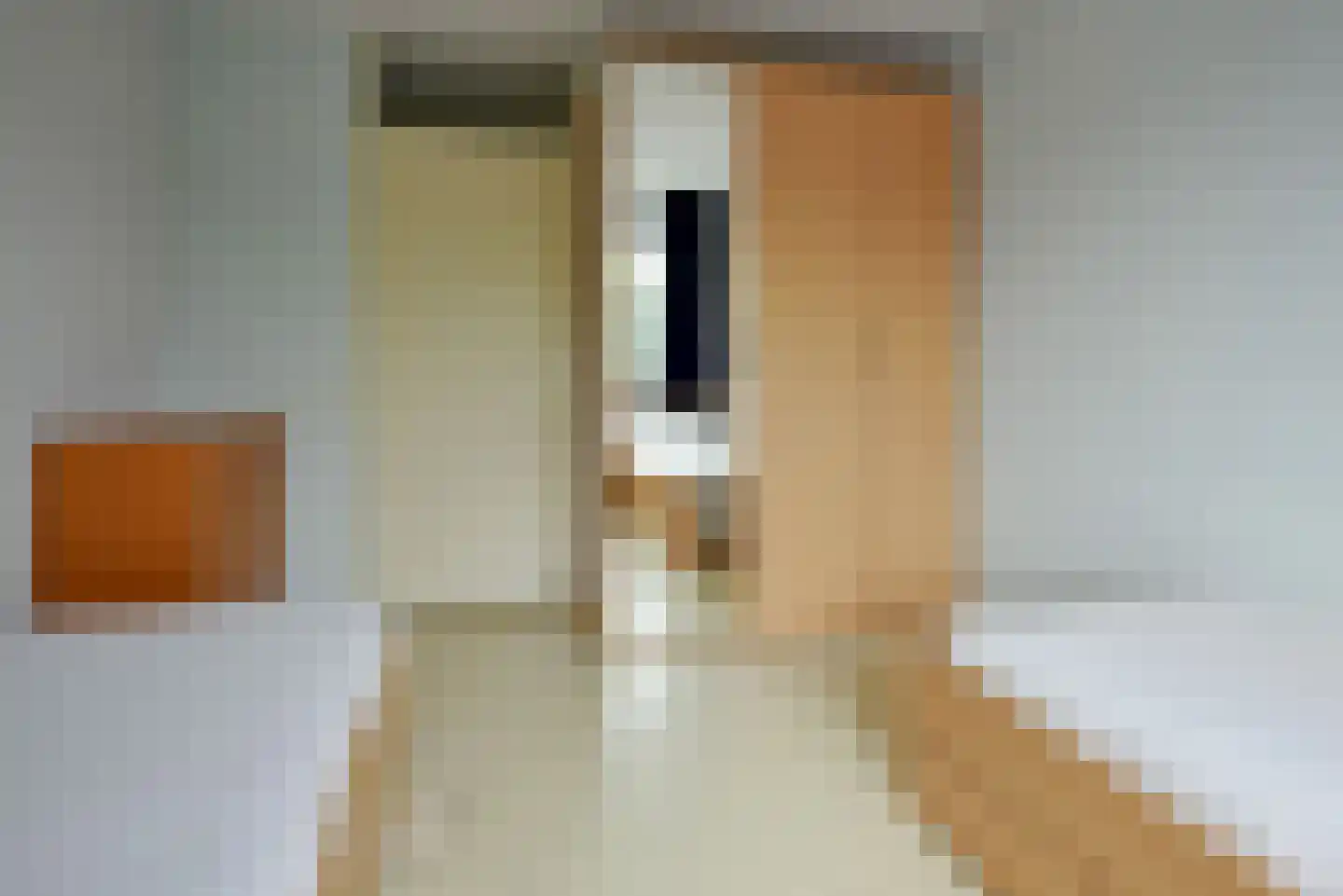 Canadese Gans 43 Uithoorn thumbnail 13