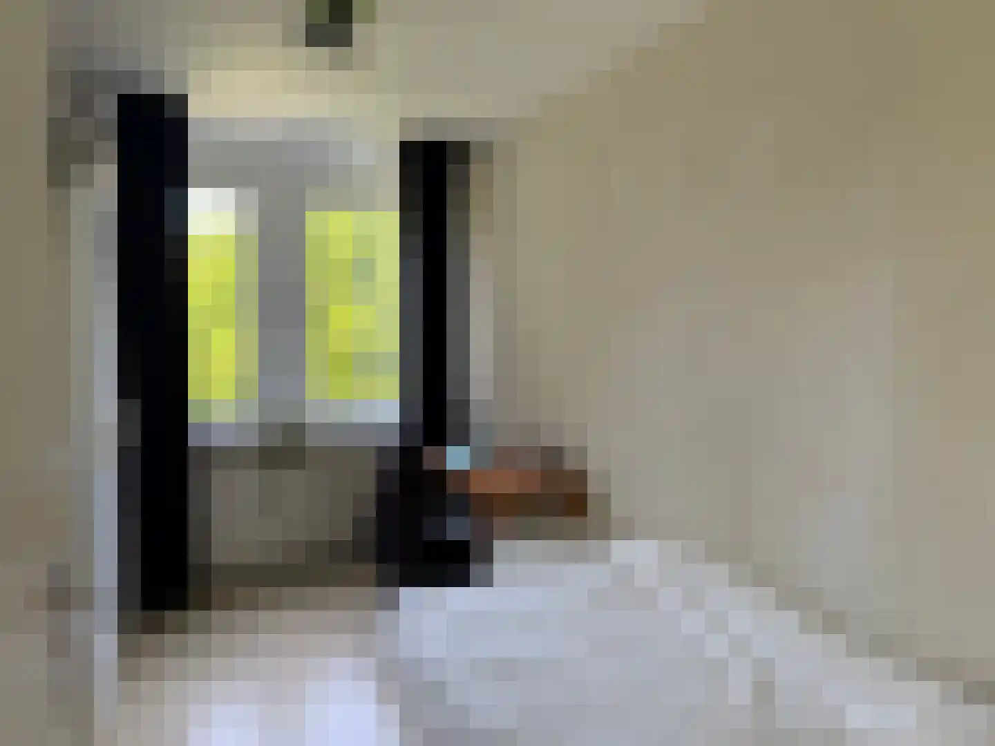 Canadese Gans 43 Uithoorn thumbnail 16