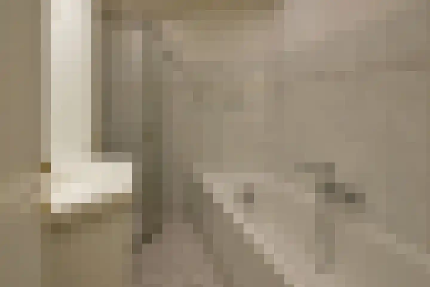 Canadese Gans 43 Uithoorn thumbnail 19