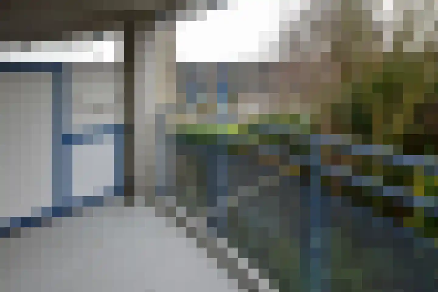 Canadese Gans 43 Uithoorn thumbnail 23