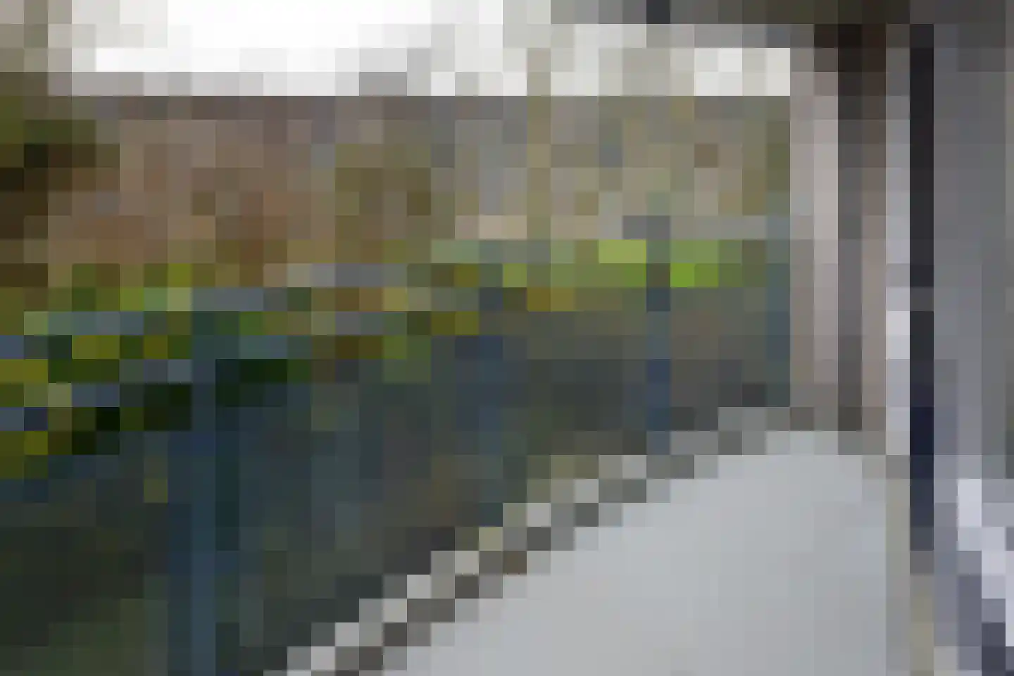 Canadese Gans 43 Uithoorn thumbnail 24