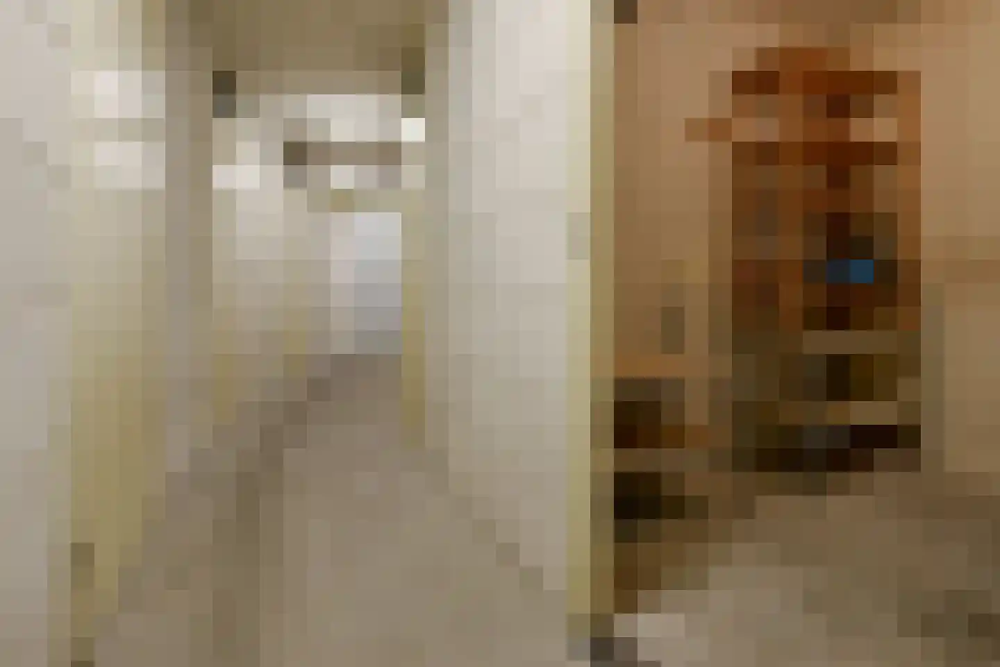 Canadese Gans 43 Uithoorn thumbnail 26
