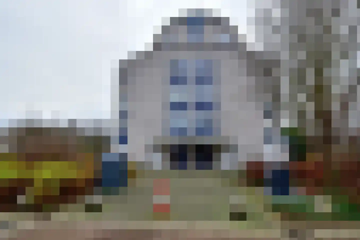 Canadese Gans 43 Uithoorn thumbnail 27