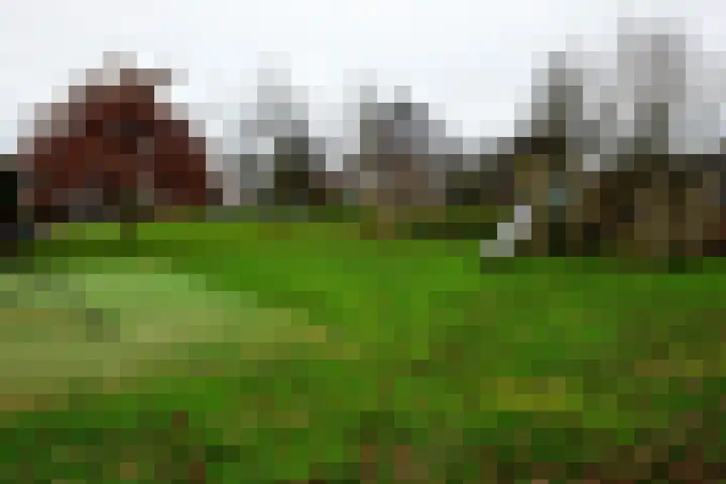 Canadese Gans 43 Uithoorn thumbnail 28