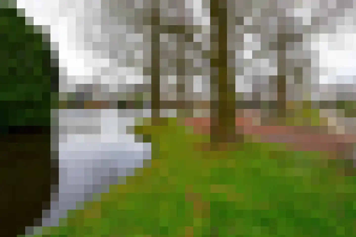 Canadese Gans 43 Uithoorn thumbnail 29