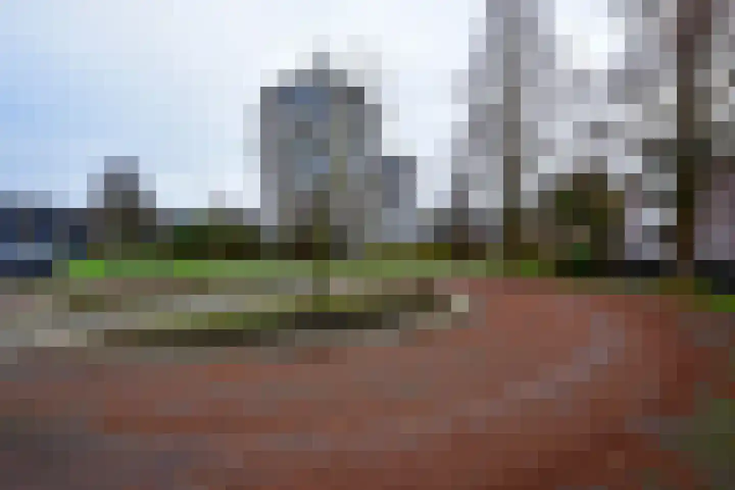 Canadese Gans 43 Uithoorn thumbnail 30