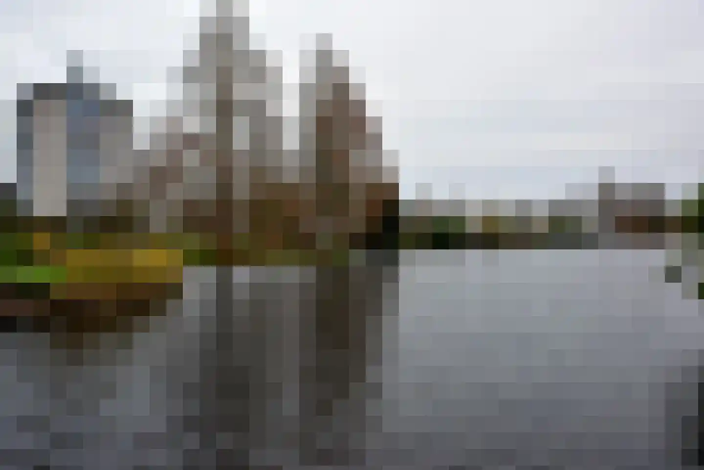 Canadese Gans 43 Uithoorn thumbnail 31