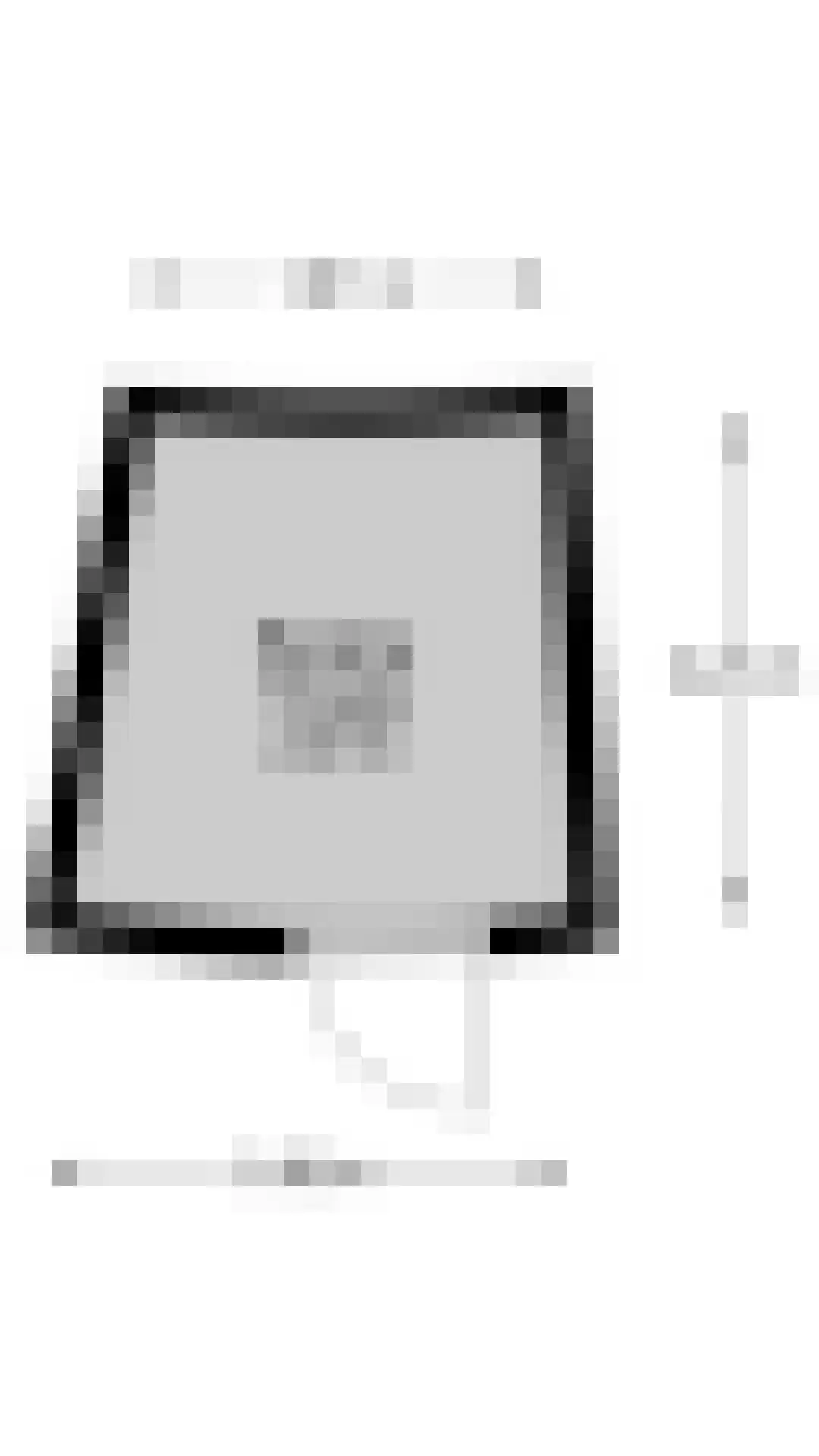 Canadese Gans 43 Uithoorn thumbnail 33