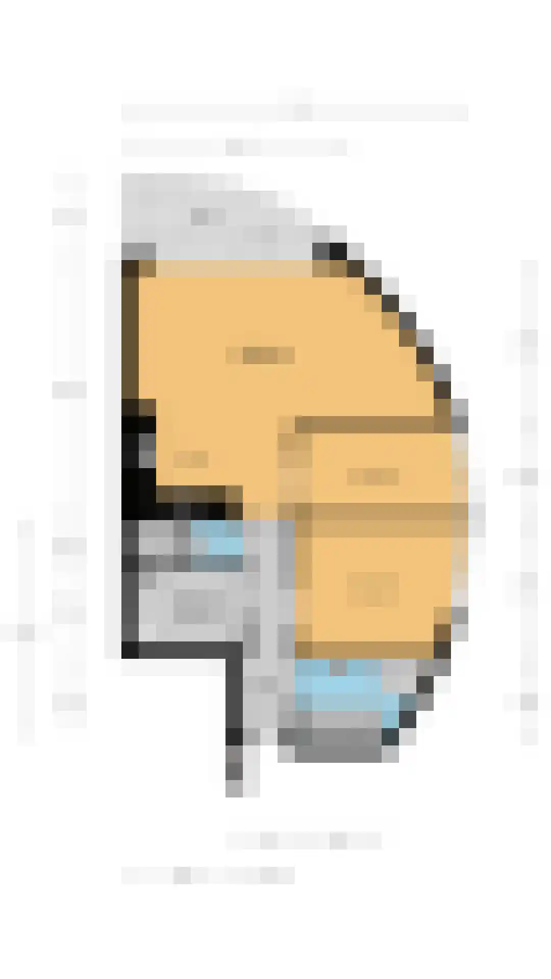 Canadese Gans 43 Uithoorn thumbnail 34