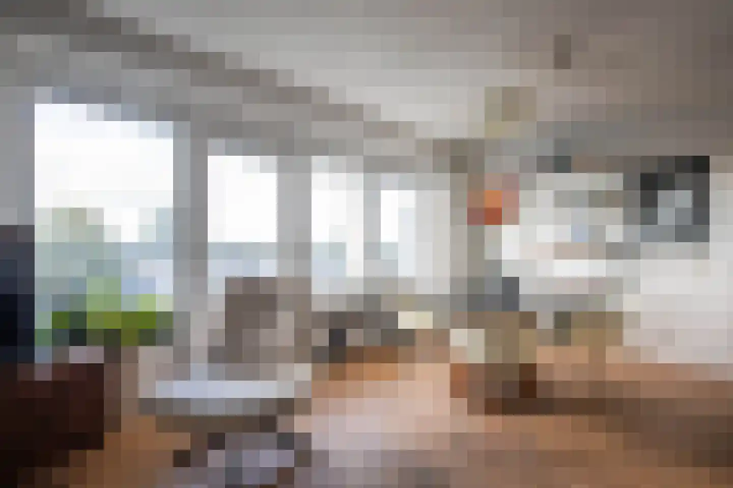 Canadese Gans 59 Uithoorn thumbnail 10
