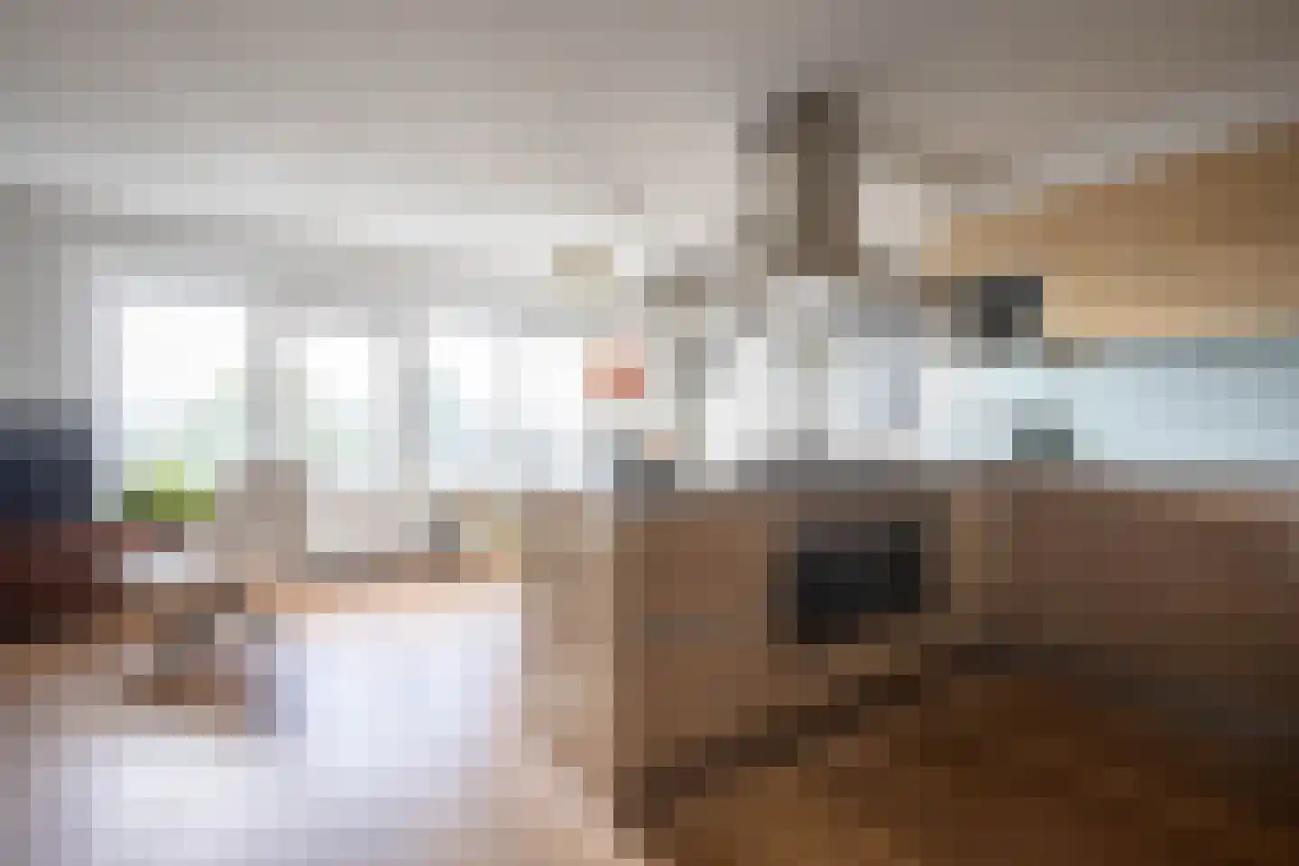 Canadese Gans 59 Uithoorn thumbnail 11