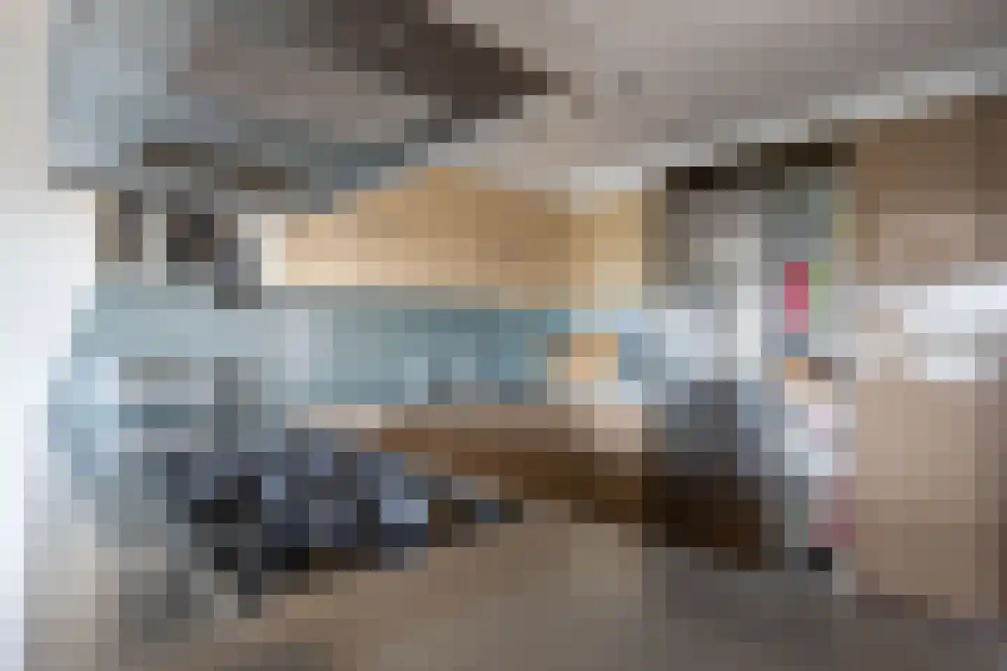 Canadese Gans 59 Uithoorn thumbnail 13