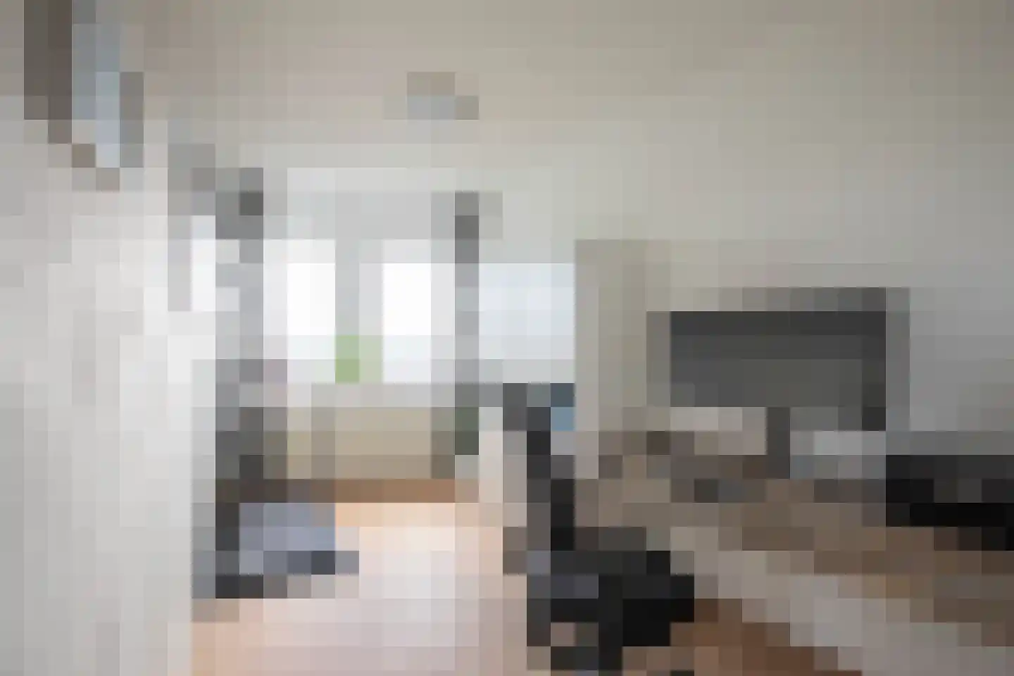 Canadese Gans 59 Uithoorn thumbnail 17
