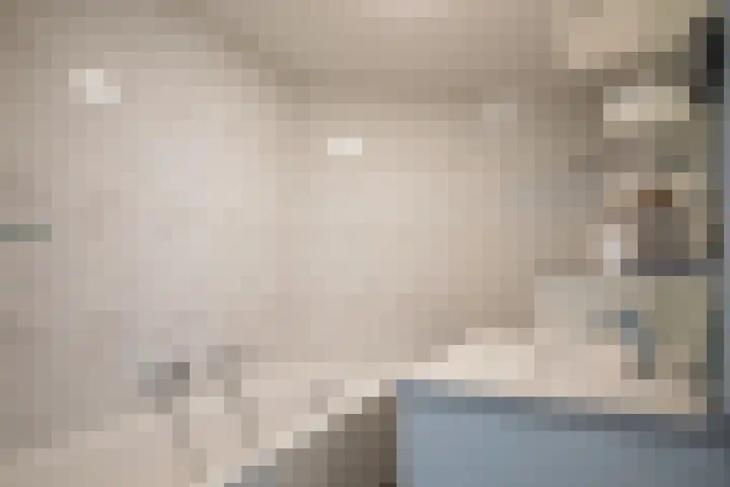 Canadese Gans 59 Uithoorn thumbnail 18