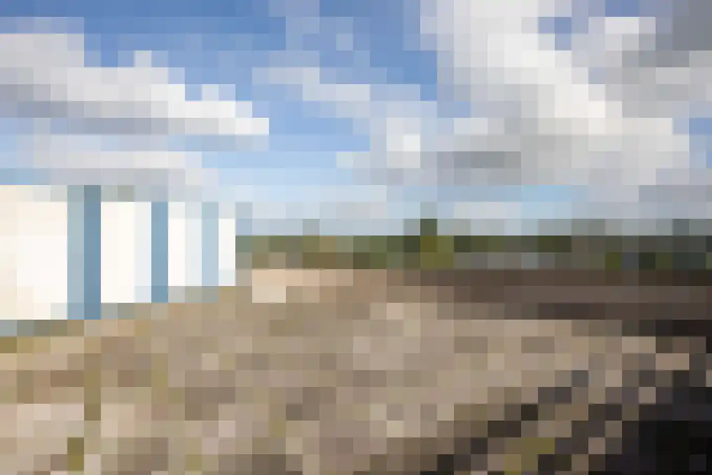 Canadese Gans 59 Uithoorn thumbnail 22