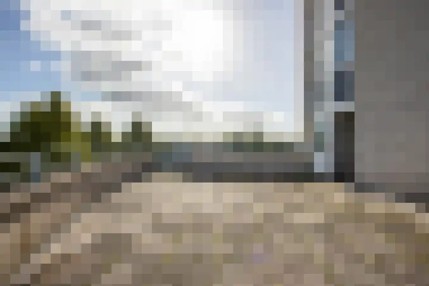 Canadese Gans 59 Uithoorn thumbnail 23