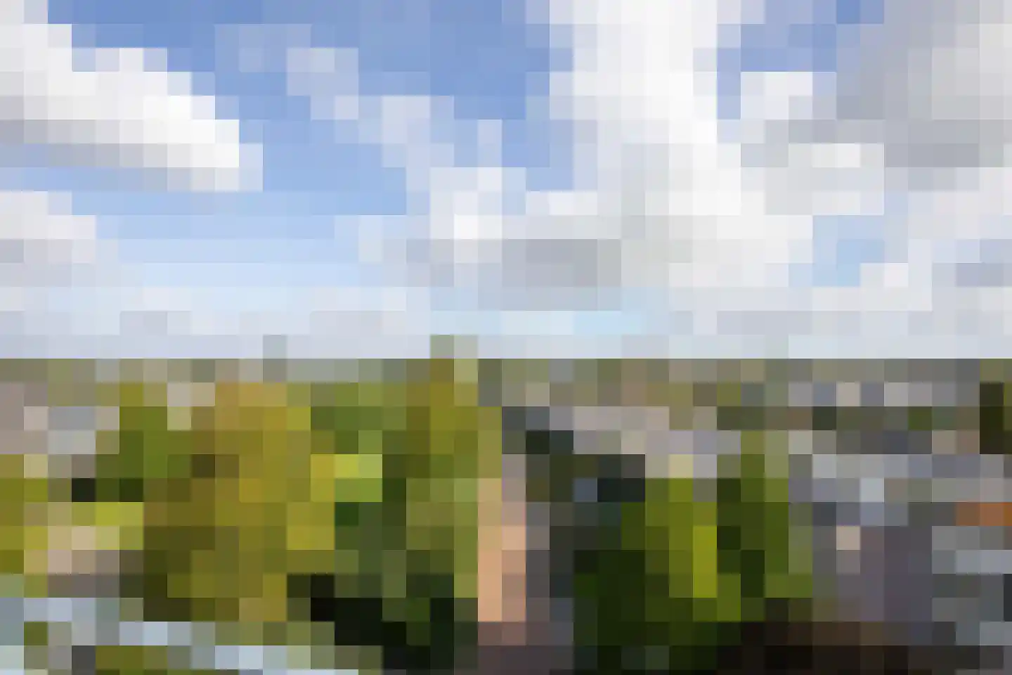 Canadese Gans 59 Uithoorn thumbnail 25