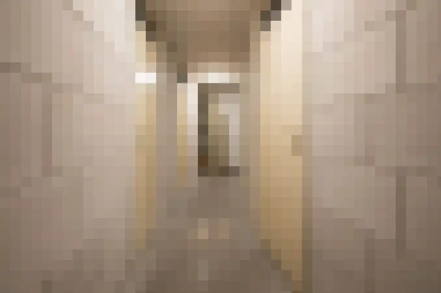Canadese Gans 59 Uithoorn thumbnail 26