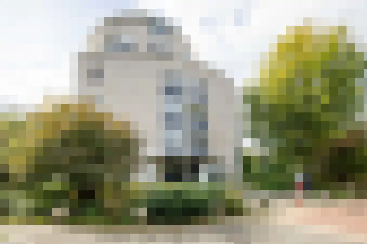 Canadese Gans 59 Uithoorn thumbnail 27