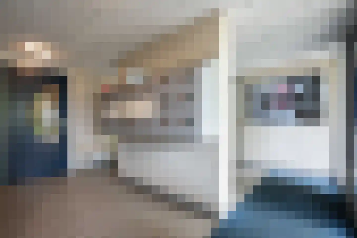 Canadese Gans 59 Uithoorn thumbnail 29