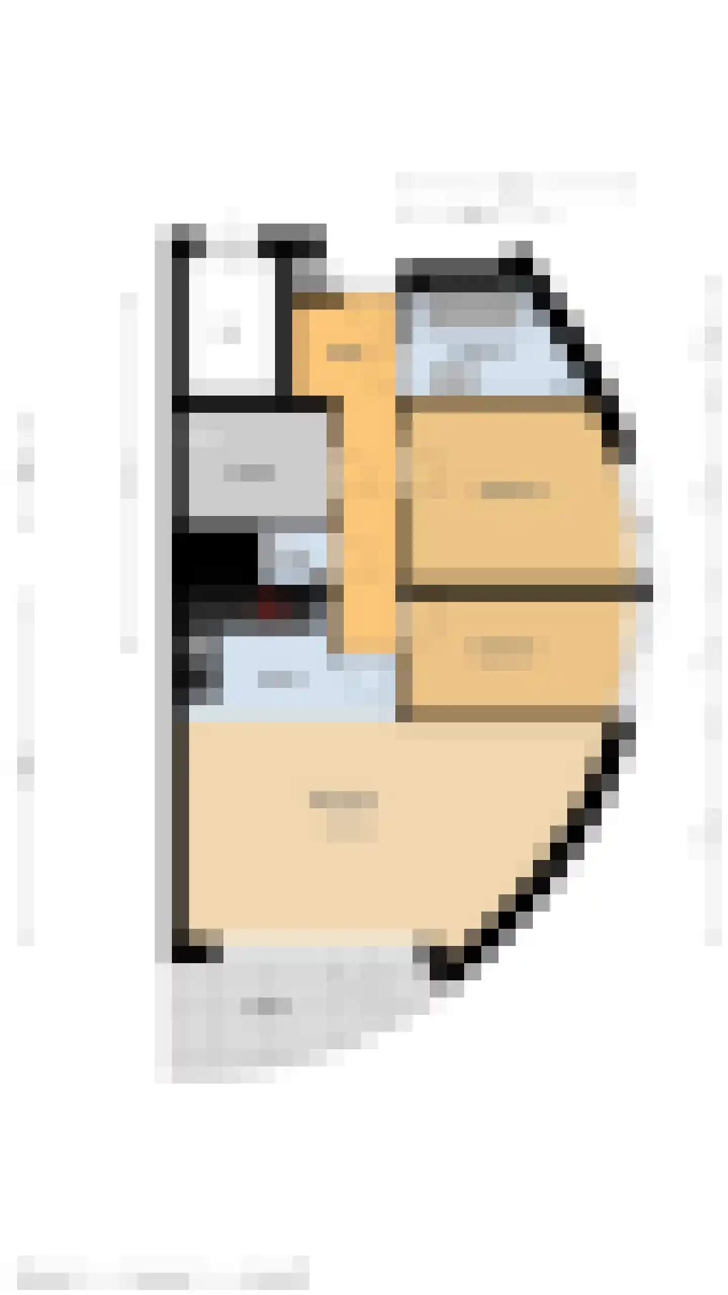 Canadese Gans 59 Uithoorn thumbnail 31