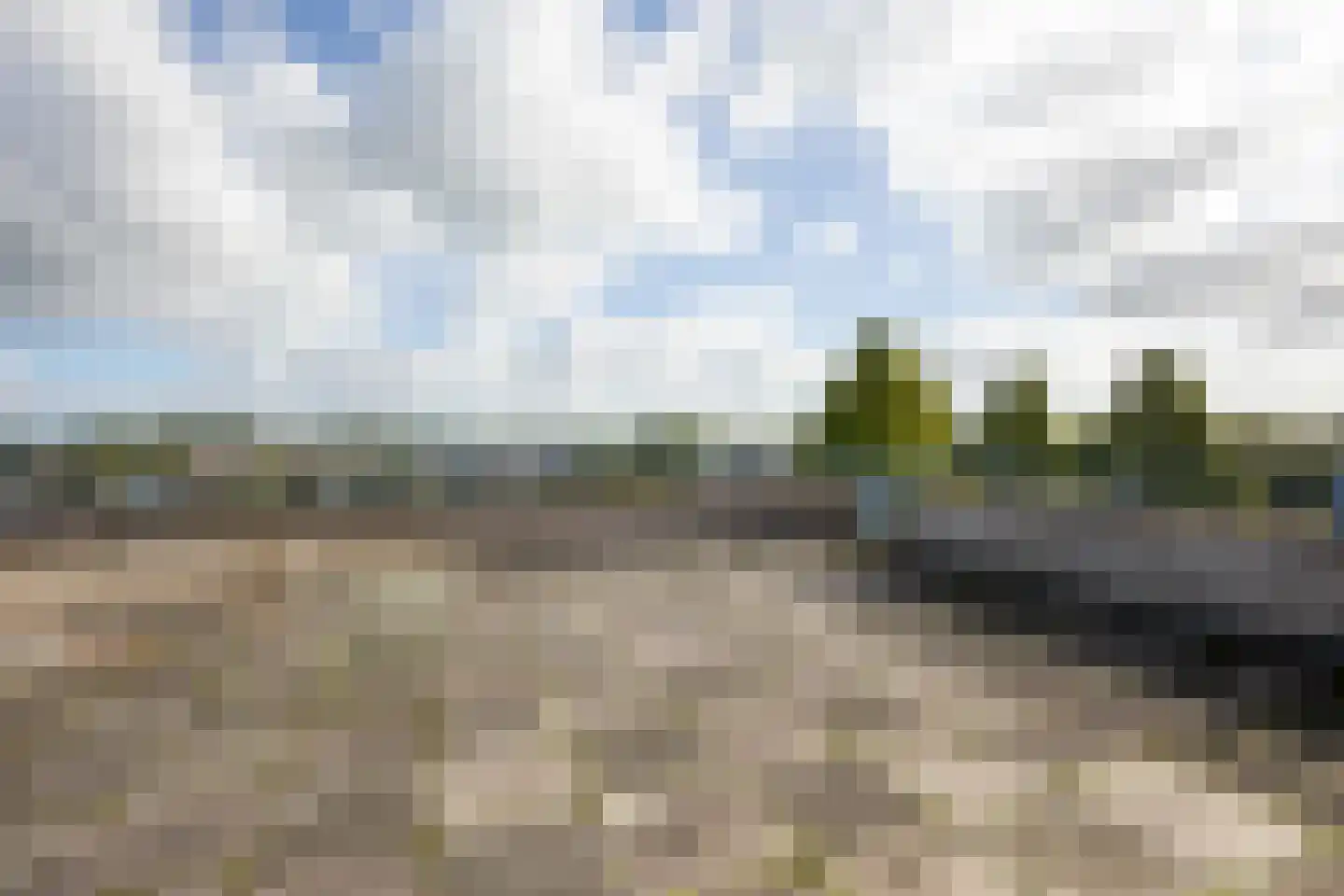 Canadese Gans 59 Uithoorn thumbnail 4