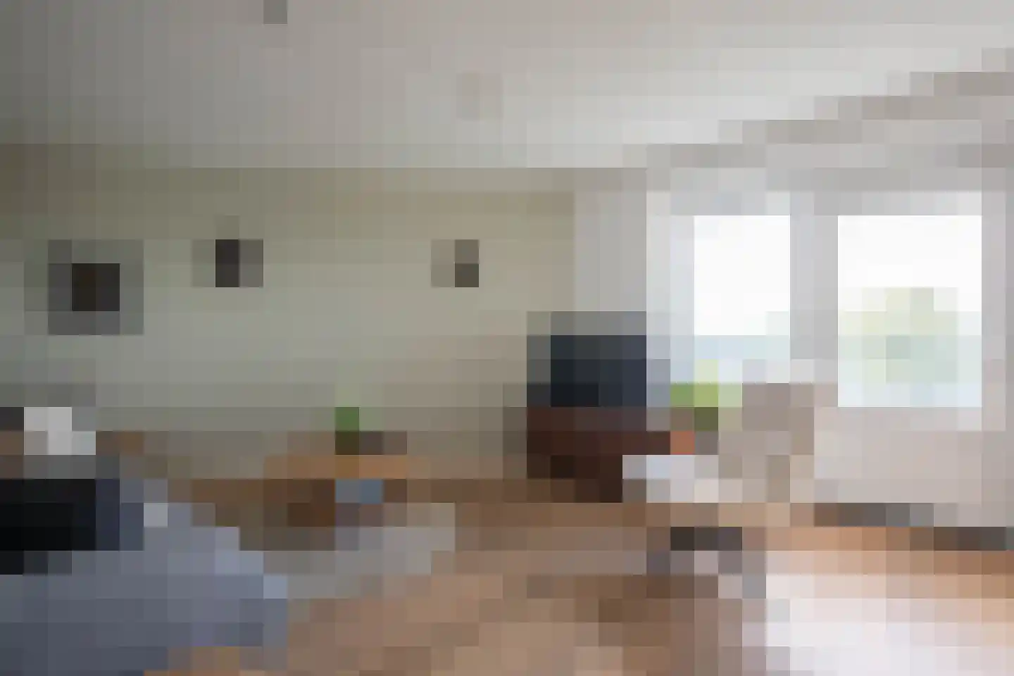 Canadese Gans 59 Uithoorn thumbnail 7