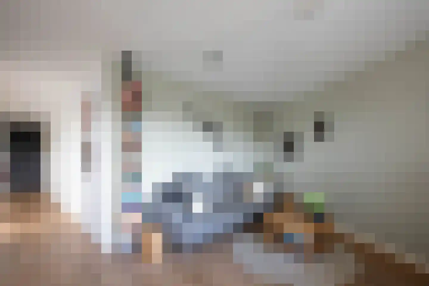 Canadese Gans 59 Uithoorn thumbnail 8