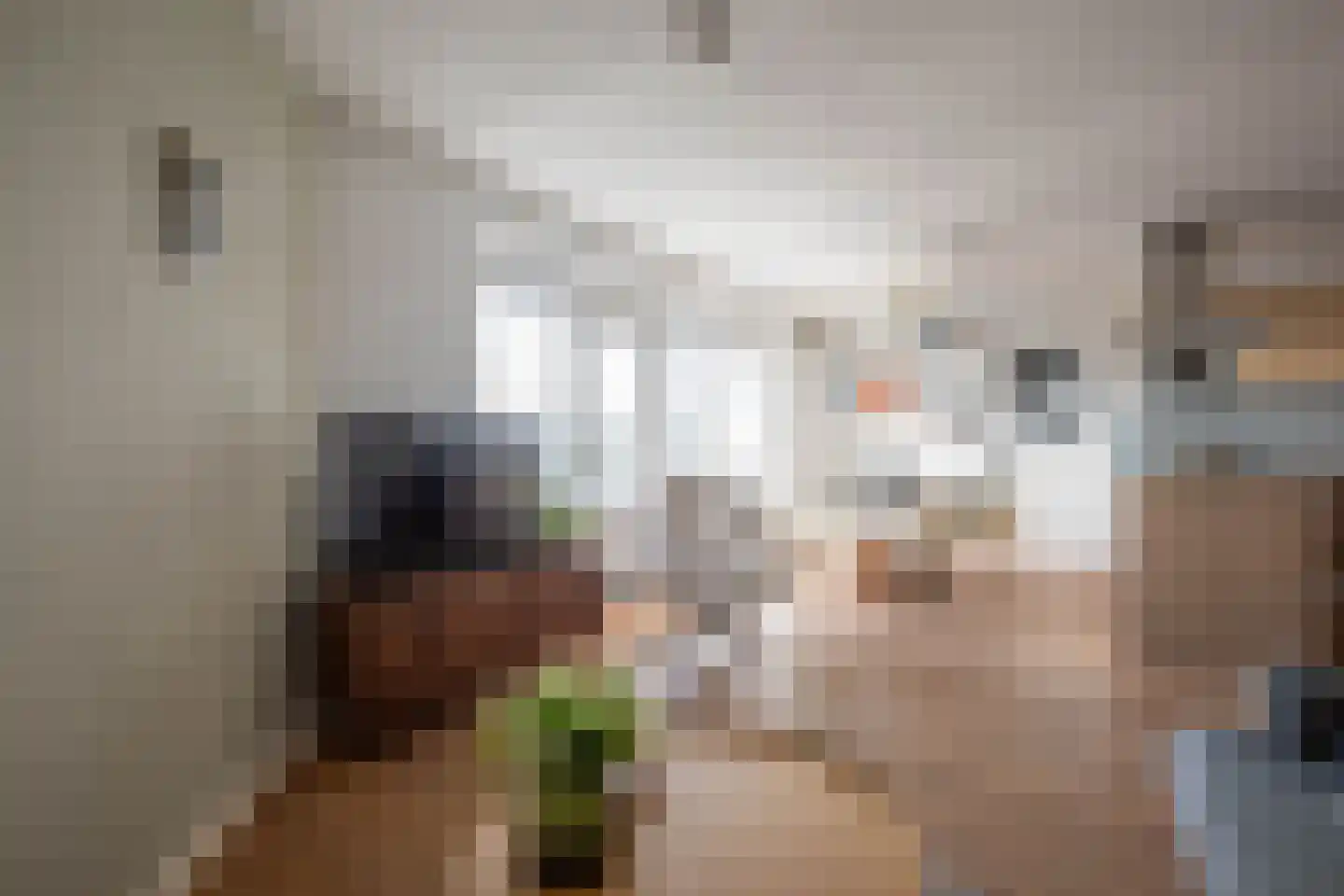 Canadese Gans 59 Uithoorn thumbnail 9