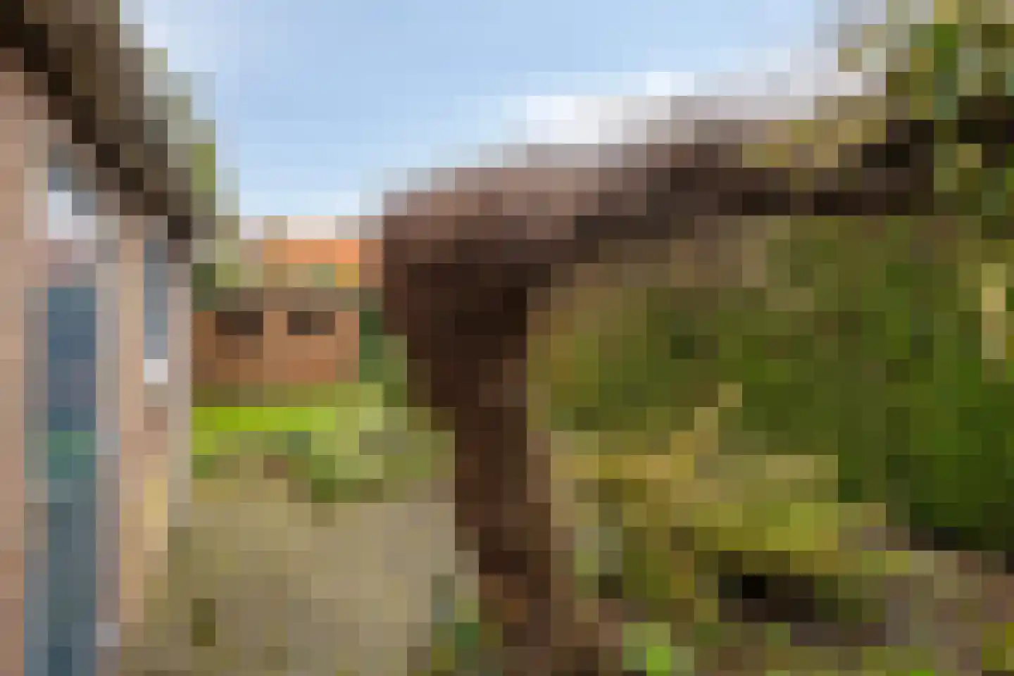 Canadesestraat 13 Waalwijk thumbnail 21