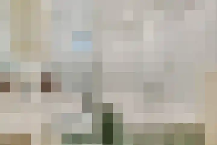 Canadeseweg 5 Waspik thumbnail 14