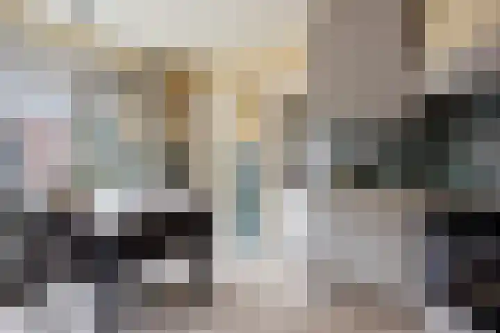 Canadeseweg 5 Waspik thumbnail 17