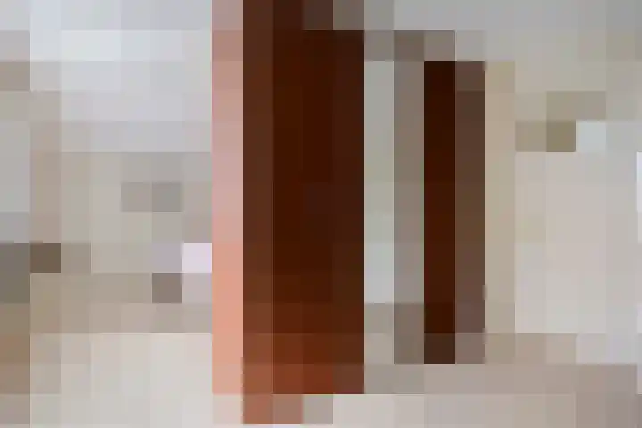 Canadeseweg 5 Waspik thumbnail 19