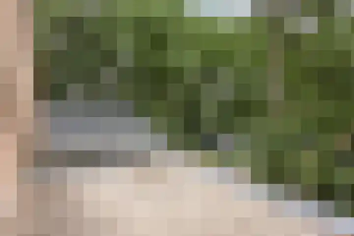 Canadeseweg 5 Waspik thumbnail 22
