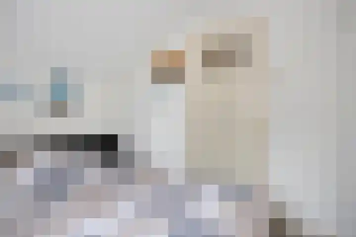 Canadeseweg 5 Waspik thumbnail 25