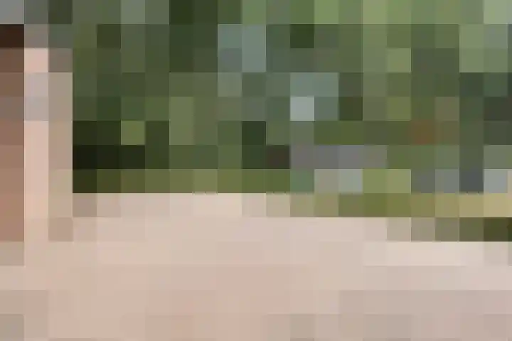 Canadeseweg 5 Waspik thumbnail 29
