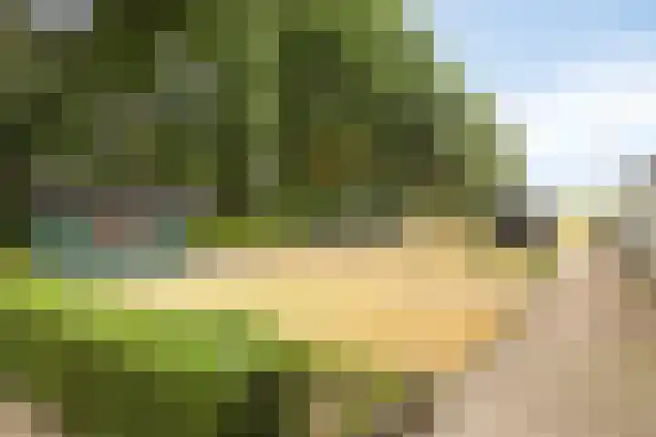 Canadeseweg 5 Waspik thumbnail 30