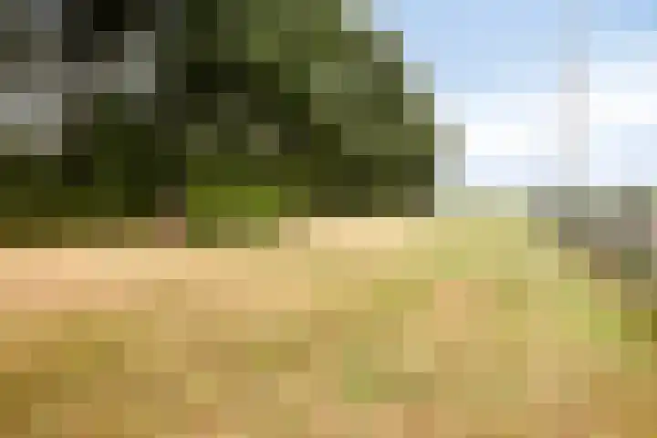 Canadeseweg 5 Waspik thumbnail 31