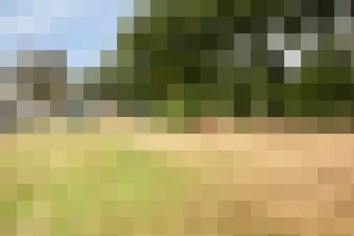 Canadeseweg 5 Waspik thumbnail 32