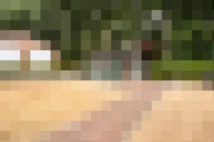 Canadeseweg 5 Waspik thumbnail 33