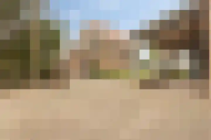Canadeseweg 5 Waspik thumbnail 35