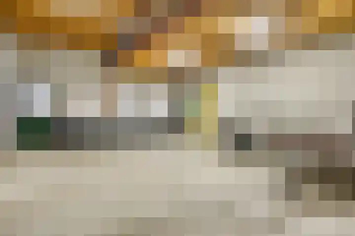 Canadeseweg 5 Waspik thumbnail 36
