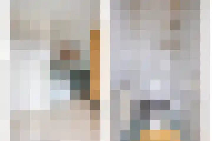 Canadeseweg 5 Waspik thumbnail 40