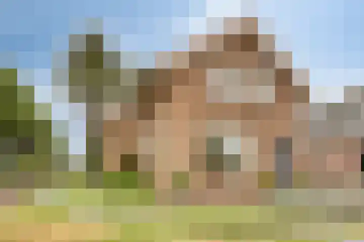 Canadeseweg 5 Waspik thumbnail 6