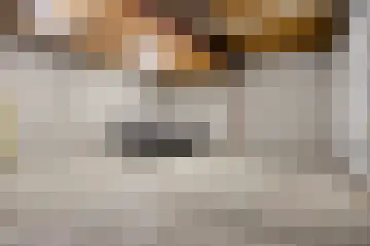 Canadeseweg 5 Waspik thumbnail 8