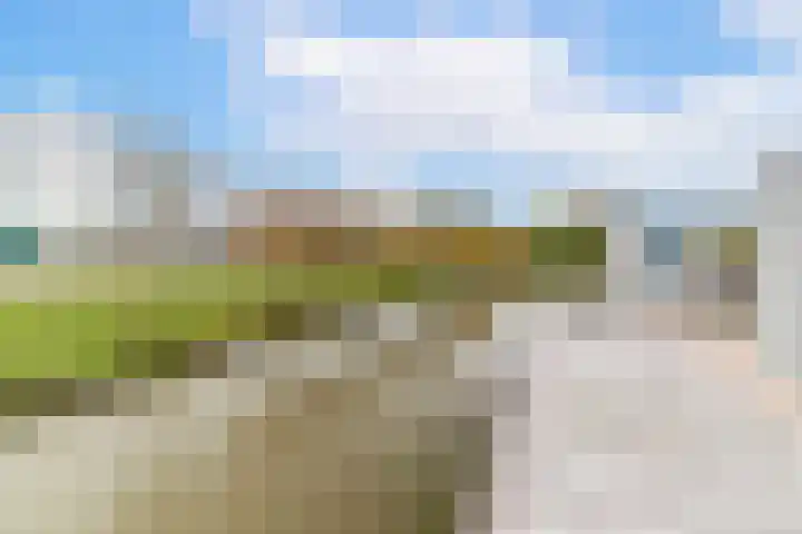 Cananefatenlaan 11 Den Hoorn thumbnail 20