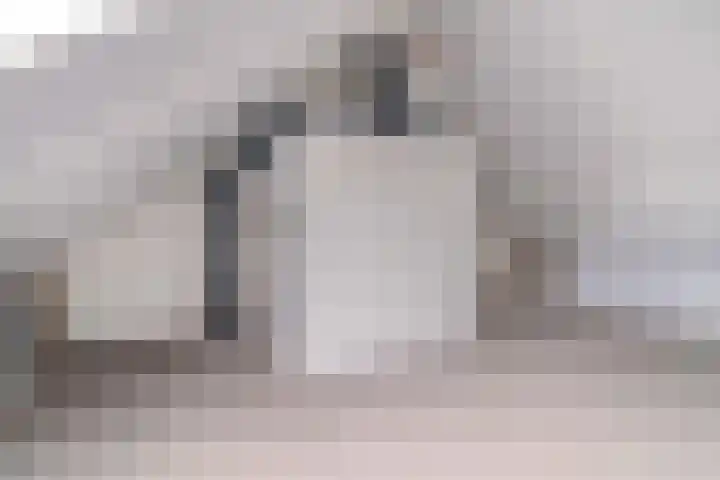 Cananefatenlaan 11 Den Hoorn thumbnail 39