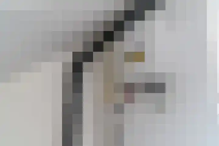 Cananefatenlaan 11 Den Hoorn thumbnail 40